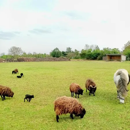 Feriehus Les De La Roche Elie Rom