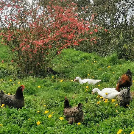 Les De La Roche Elie Feriehus Rom
