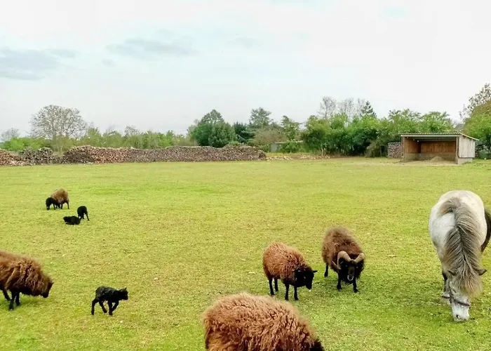 別荘 Les De La Roche Elie Rom