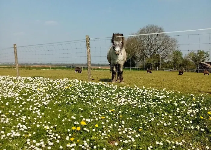 Les De La Roche Elie