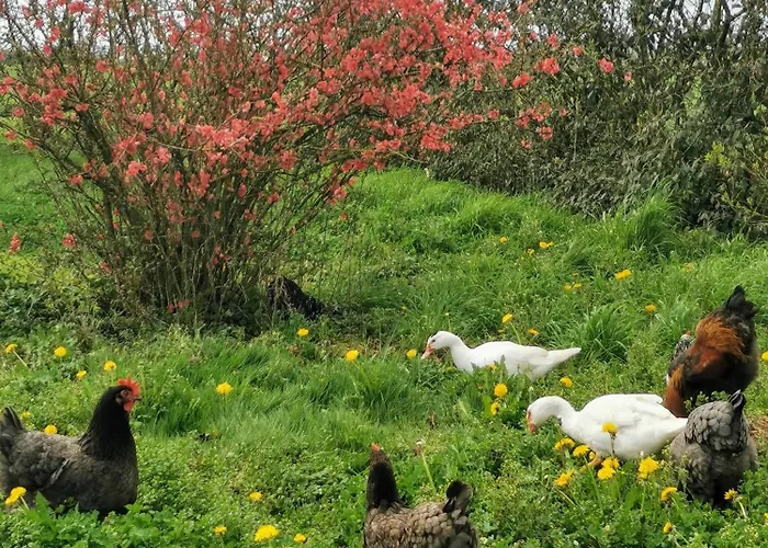 Les De La Roche Elie 別荘 Rom